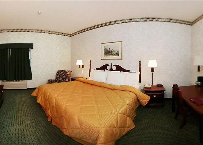 Comfort Crystal - Algonquin Inn 4*