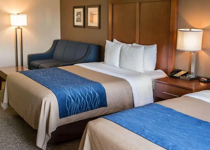 Comfort Crystal - Algonquin Inn