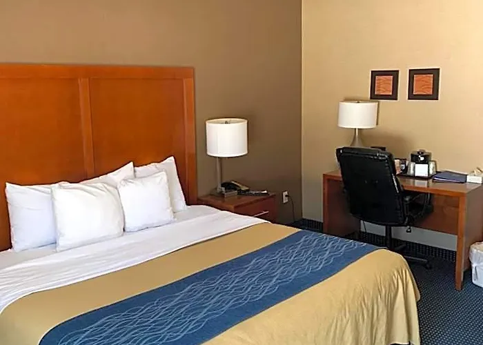 Comfort Crystal - Algonquin 4*