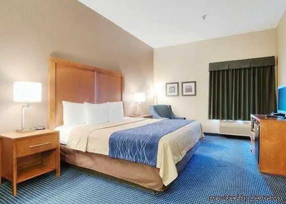 Comfort Crystal - Algonquin Crystal Lake